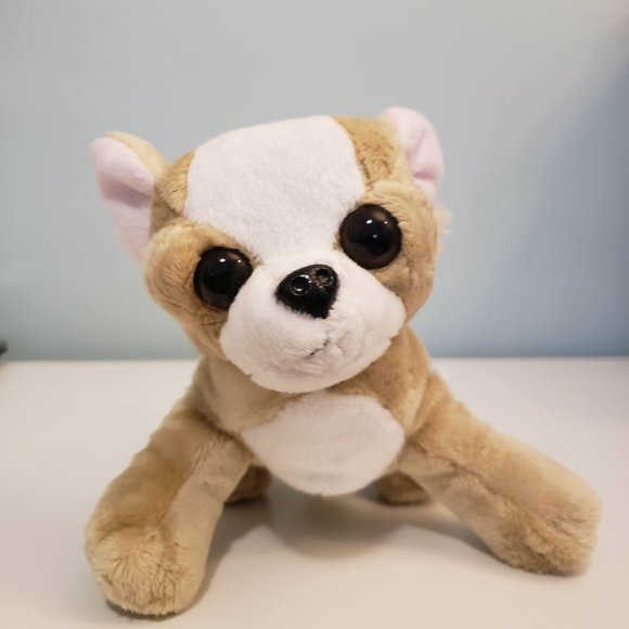 chihuahua webkinz